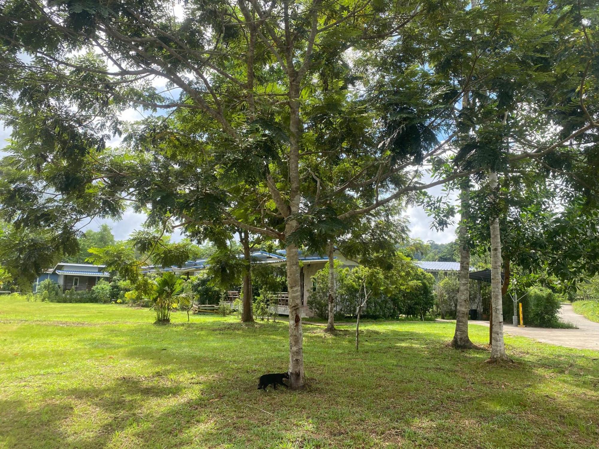 Pd Guesthouse Ko Kut Ngoại thất bức ảnh