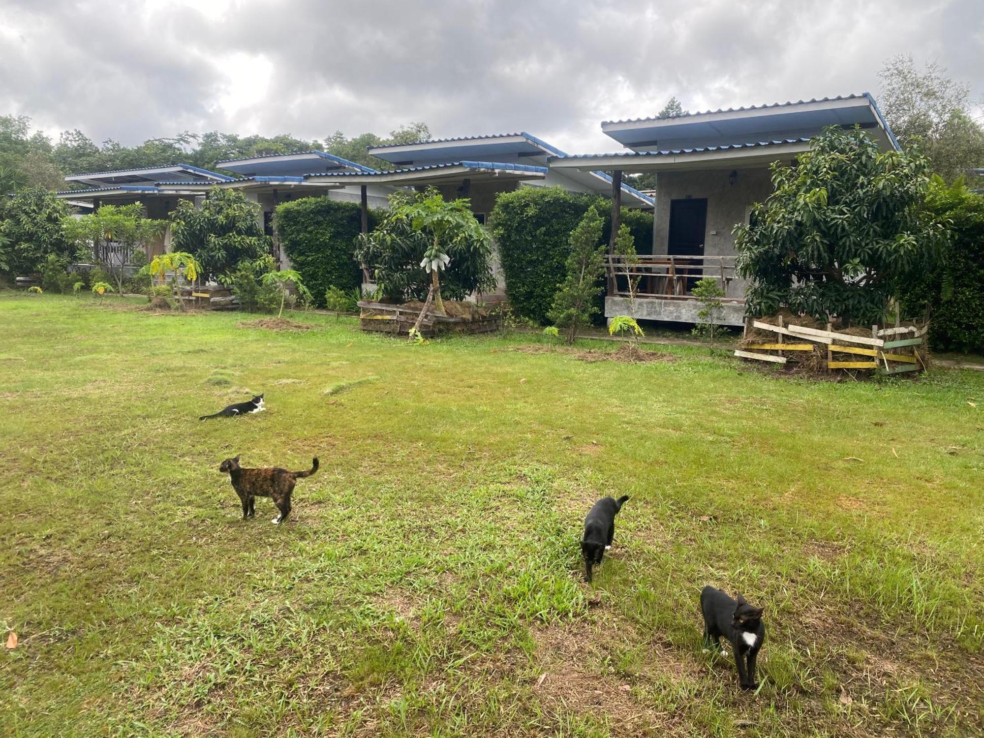 Pd Guesthouse Ko Kut Ngoại thất bức ảnh